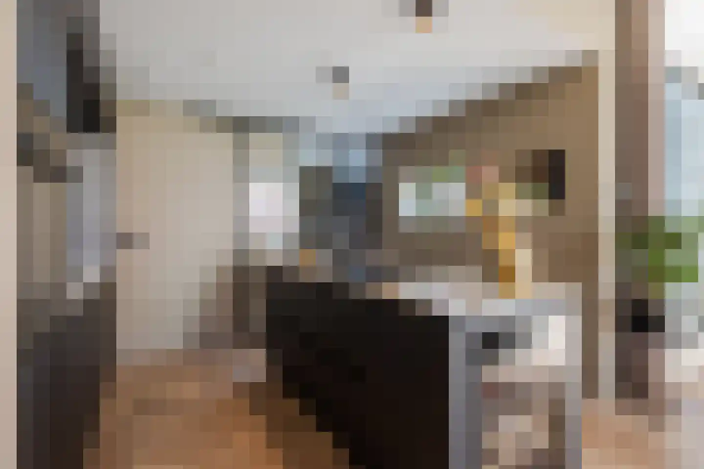 Boegspriet 22 Papendrecht thumbnail 15