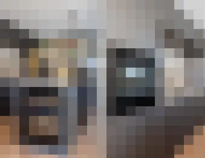 Boegspriet 22 Papendrecht thumbnail 19