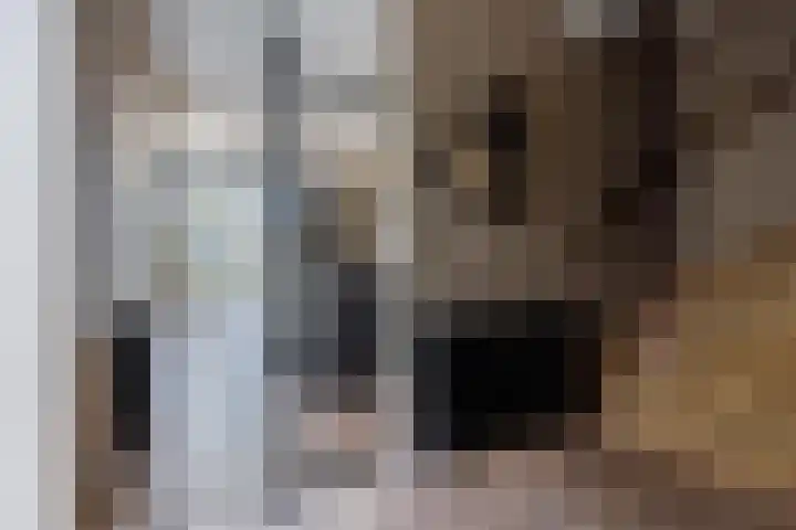 Boegspriet 22 Papendrecht thumbnail 20