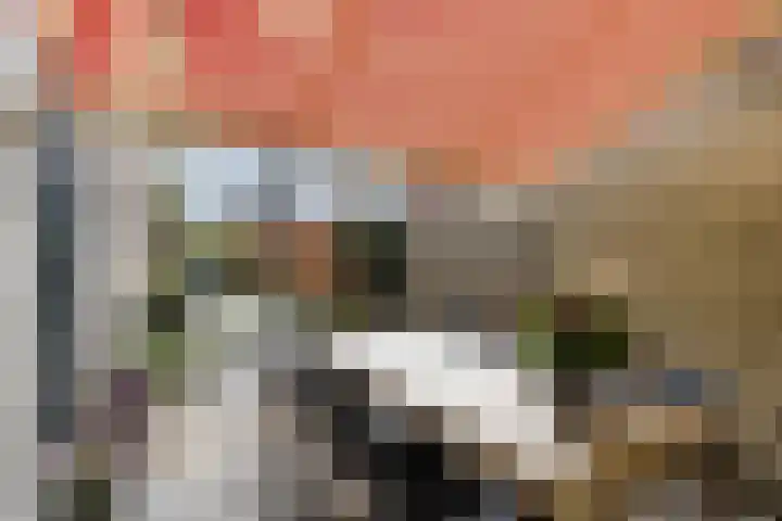 Boegspriet 22 Papendrecht thumbnail 25