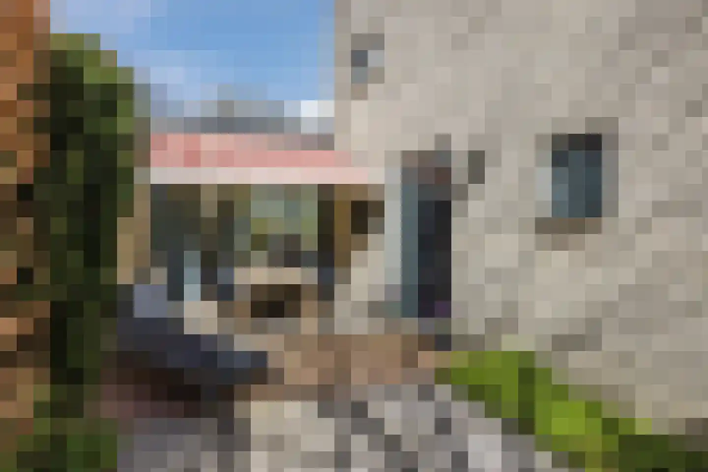 Boegspriet 22 Papendrecht thumbnail 28