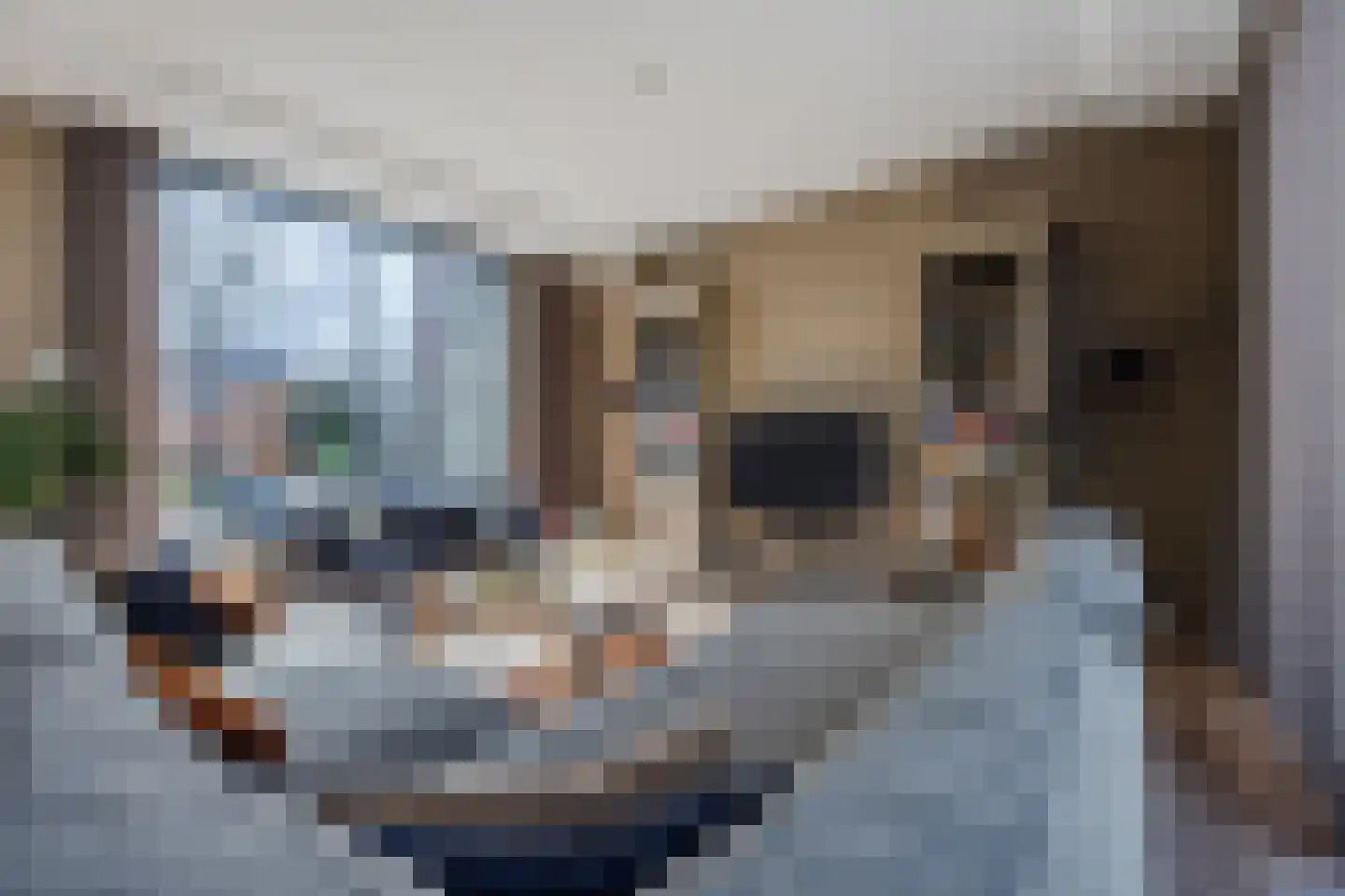 Boegspriet 22 Papendrecht thumbnail 4