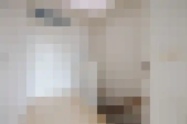Boegspriet 22 Papendrecht thumbnail 41