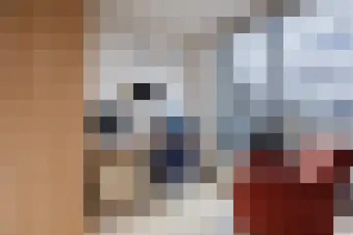 Boegspriet 22 Papendrecht thumbnail 45