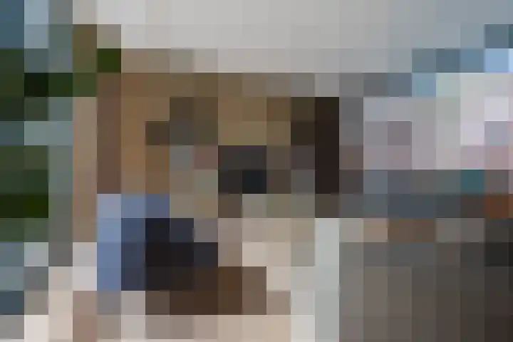 Boegspriet 22 Papendrecht thumbnail 5