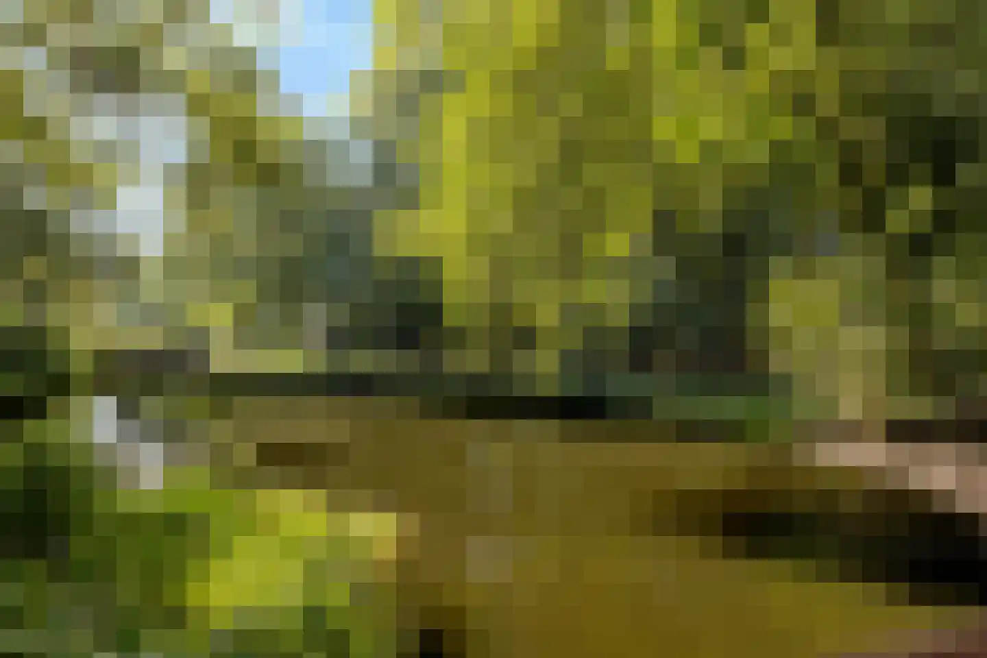 Boegspriet 33 Amstelveen thumbnail 38