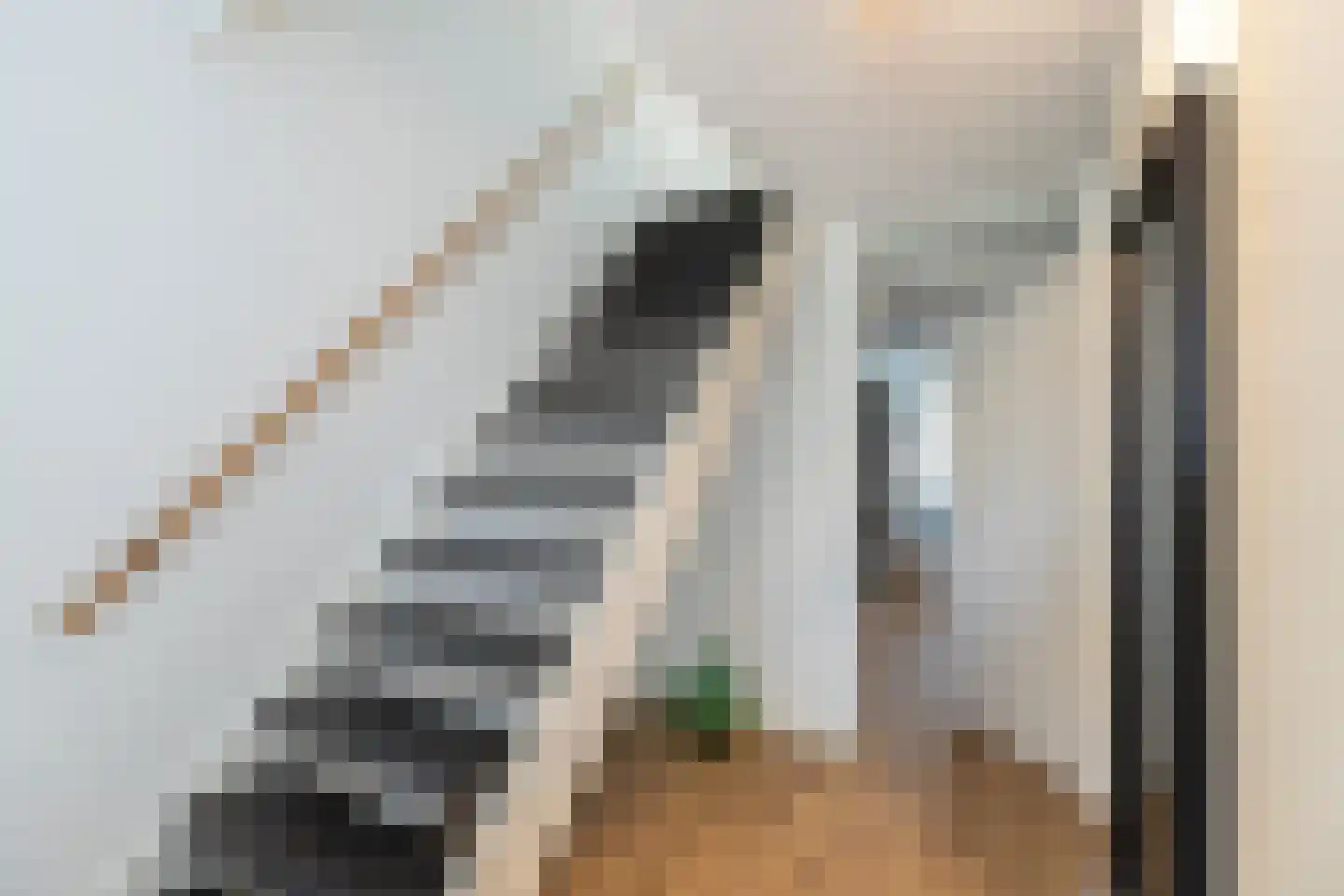 Boegspriet 33 Papendrecht thumbnail 16