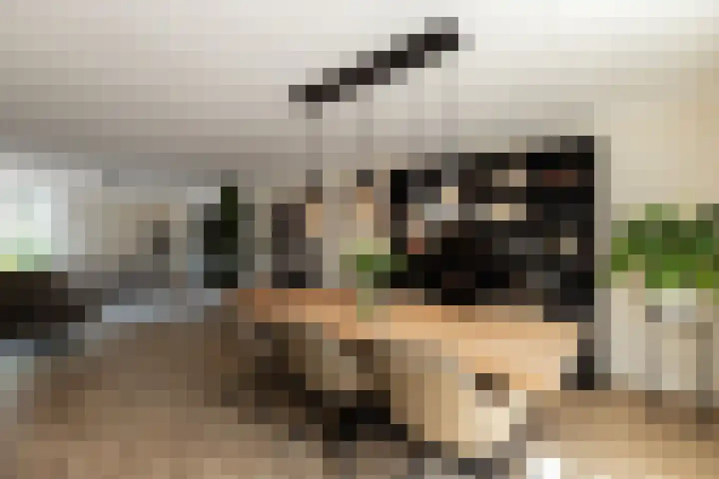 Boegspriet 33 Papendrecht thumbnail 9