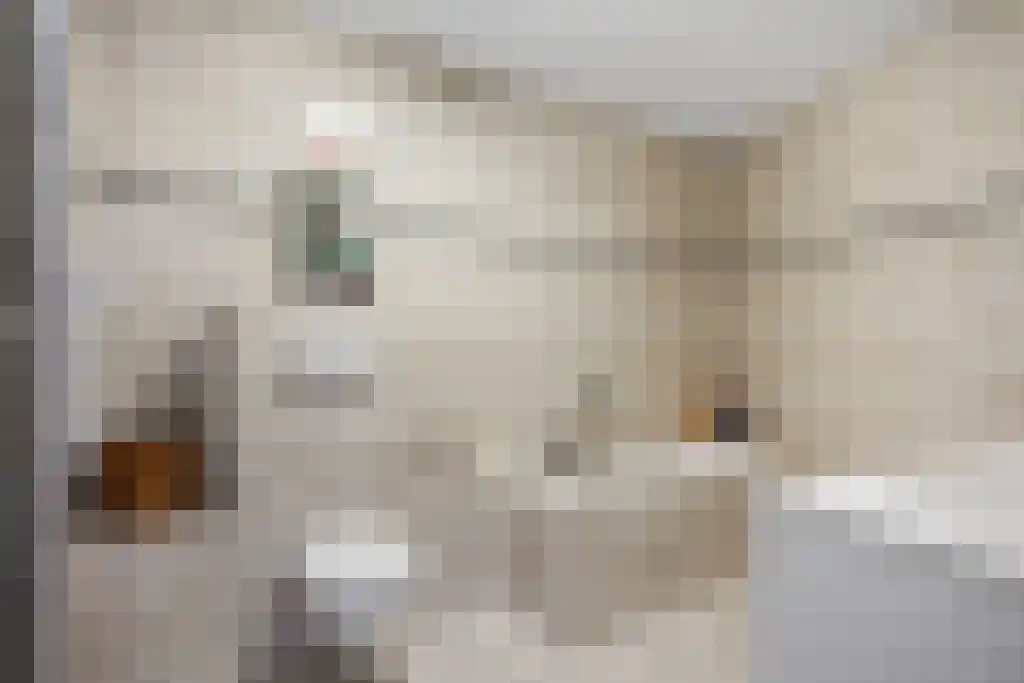 Boegspriet 60 Sneek thumbnail 27