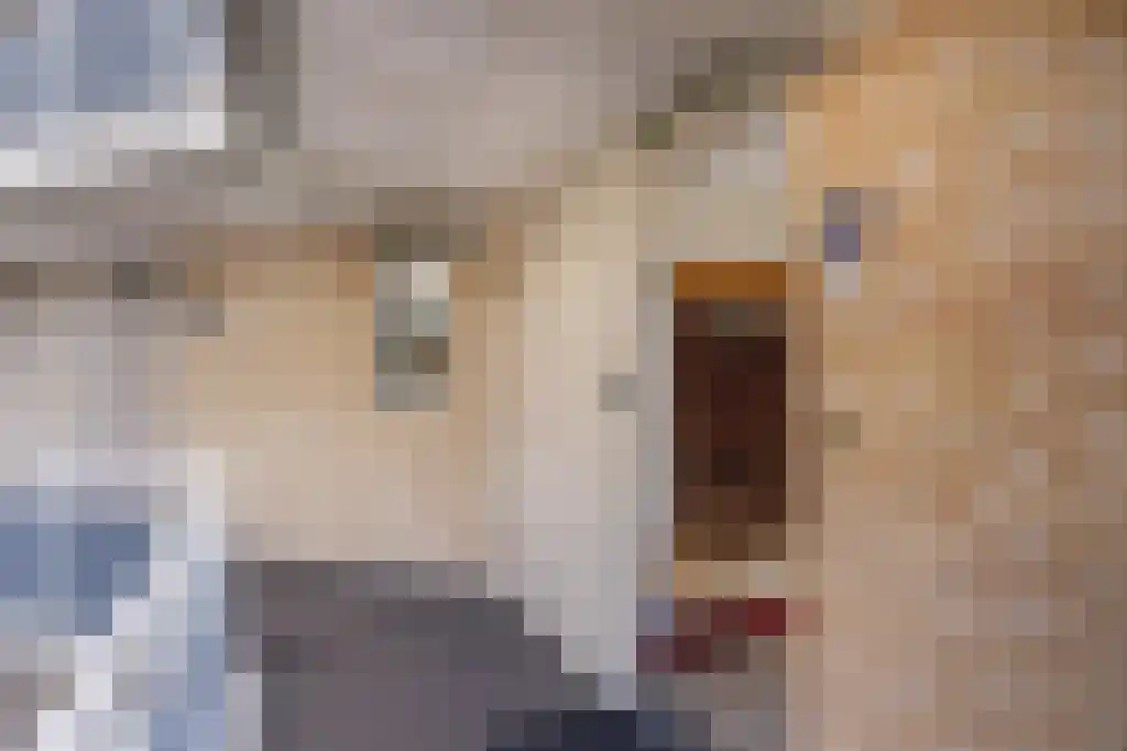 Boegspriet 60 Sneek thumbnail 31