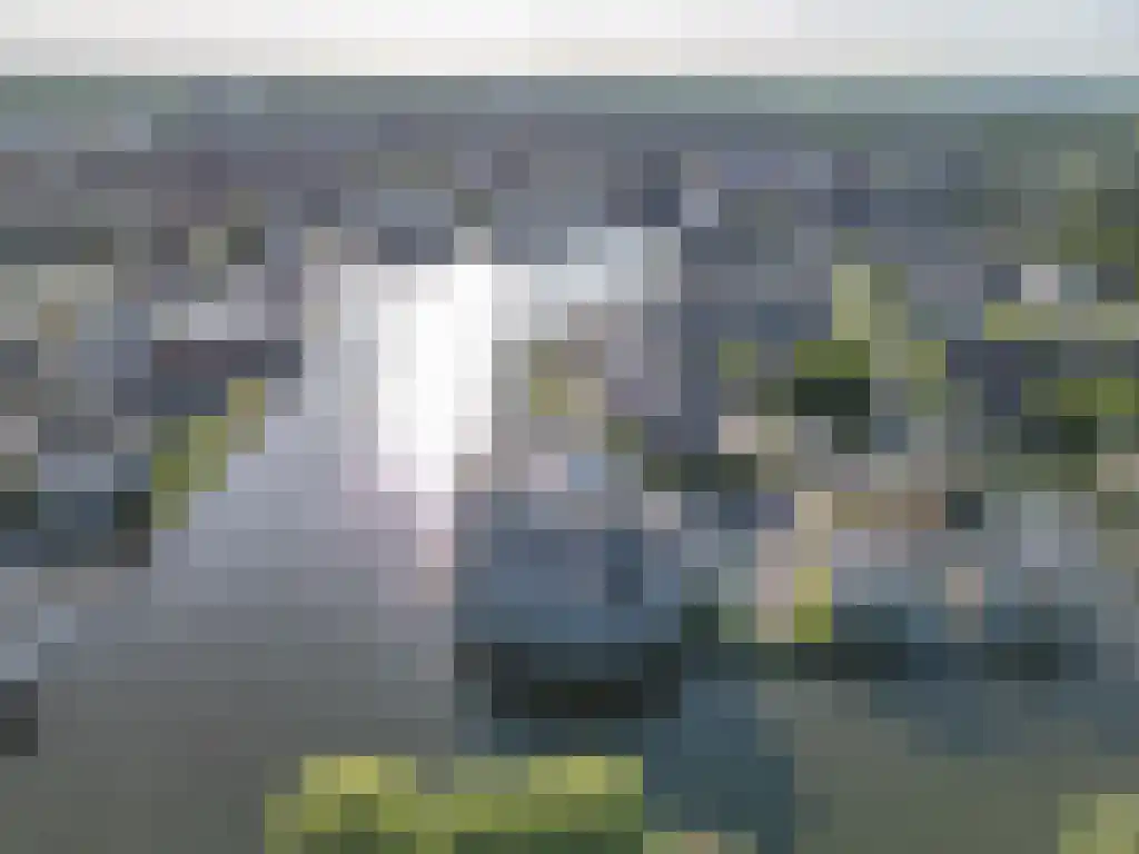Boegspriet 60 Sneek thumbnail 50