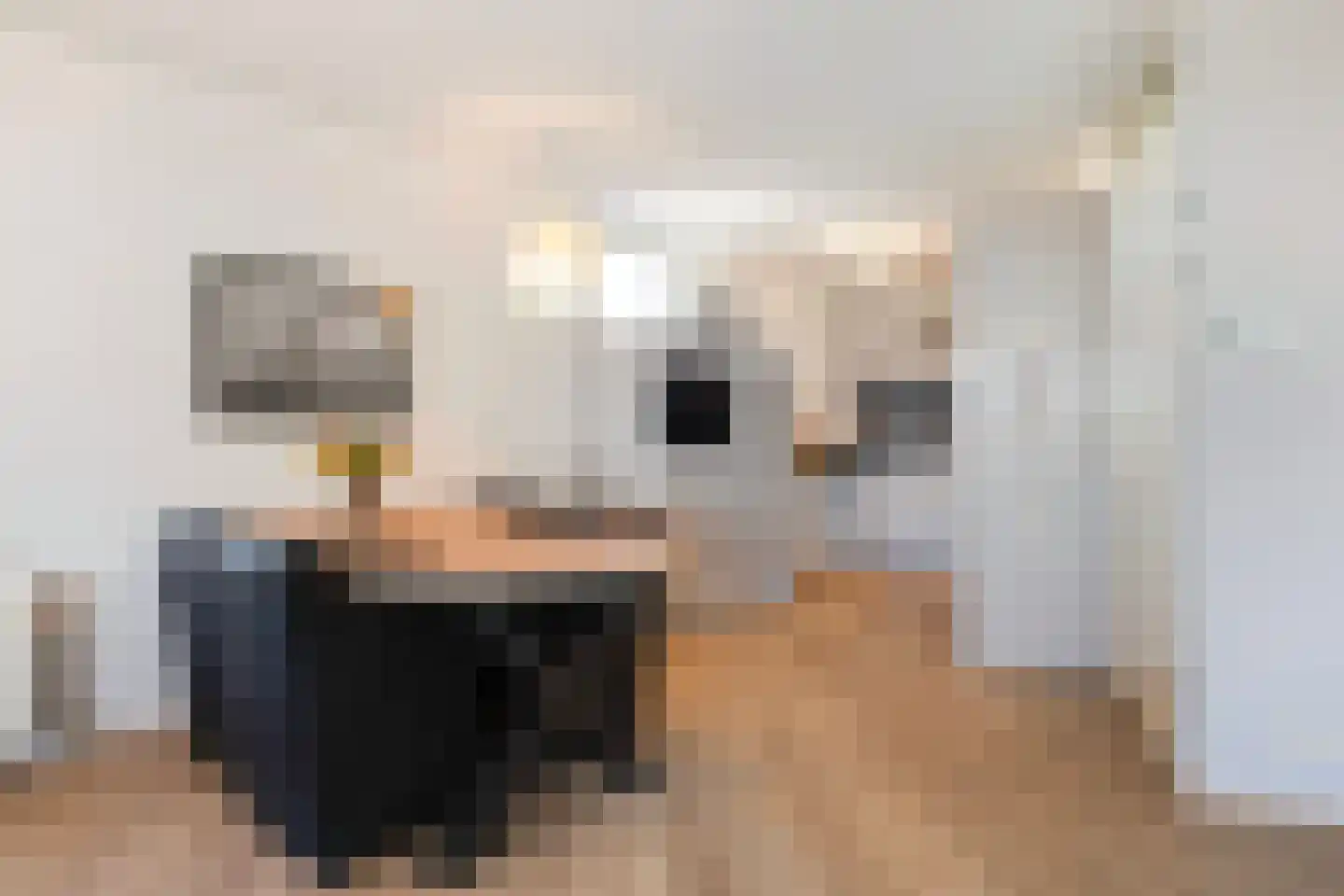 Boegspriet 80 Sneek thumbnail 12
