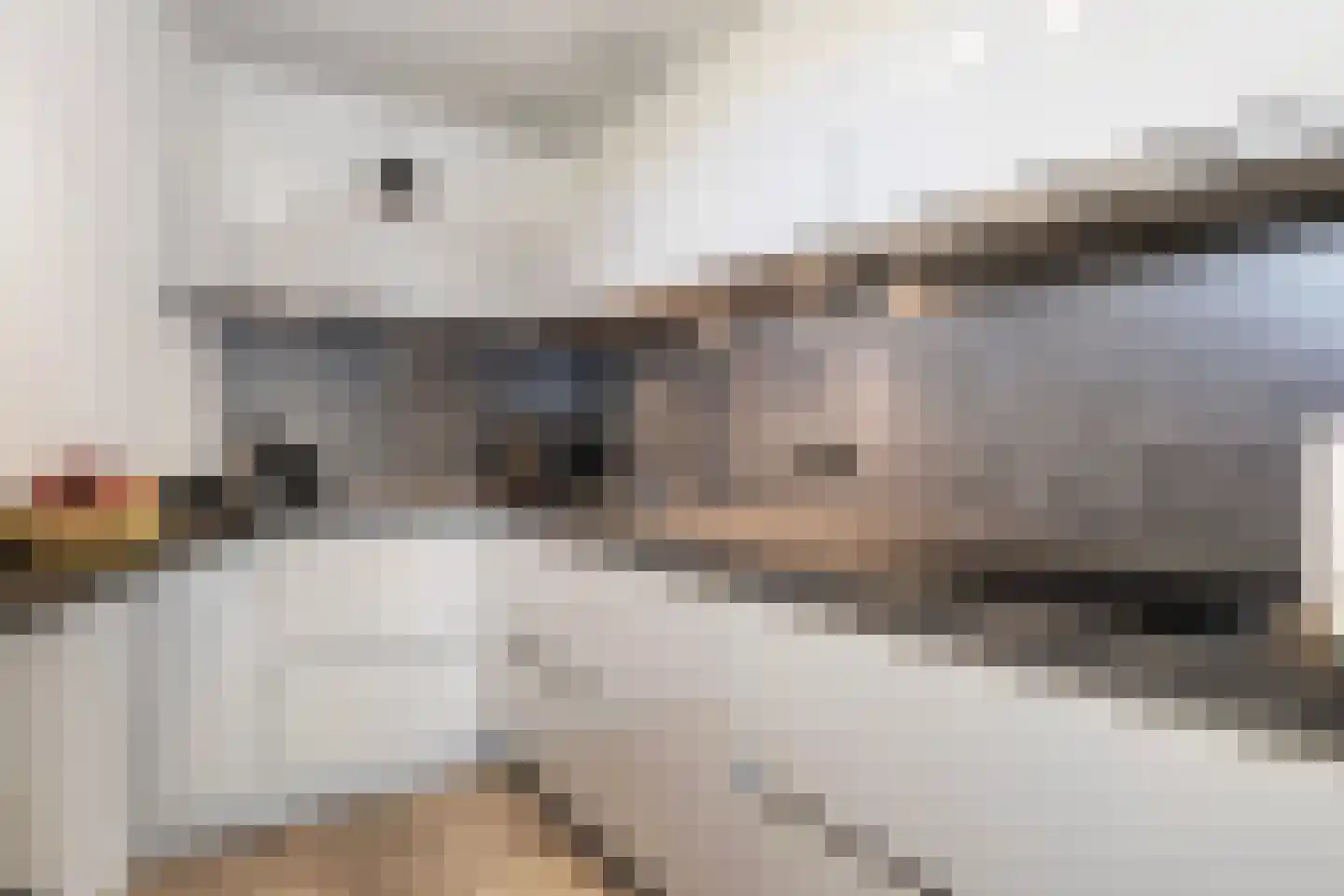 Boegspriet 80 Sneek thumbnail 14