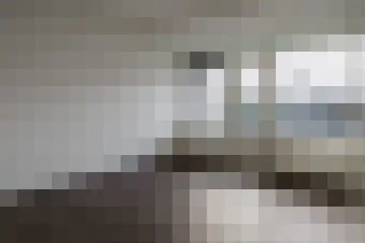 Boegstaete 16 Vroomshoop thumbnail 11