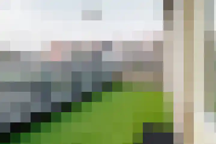 Boegstaete 16 Vroomshoop thumbnail 13