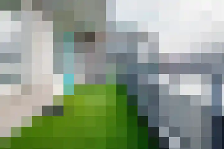 Boegstaete 16 Vroomshoop thumbnail 14
