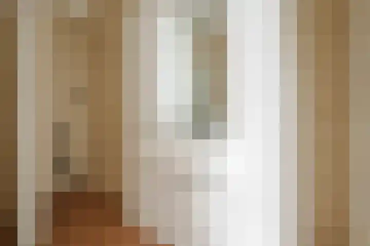 Boegstaete 16 Vroomshoop thumbnail 19