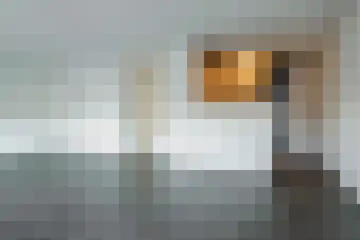 Boegstaete 16 Vroomshoop thumbnail 25