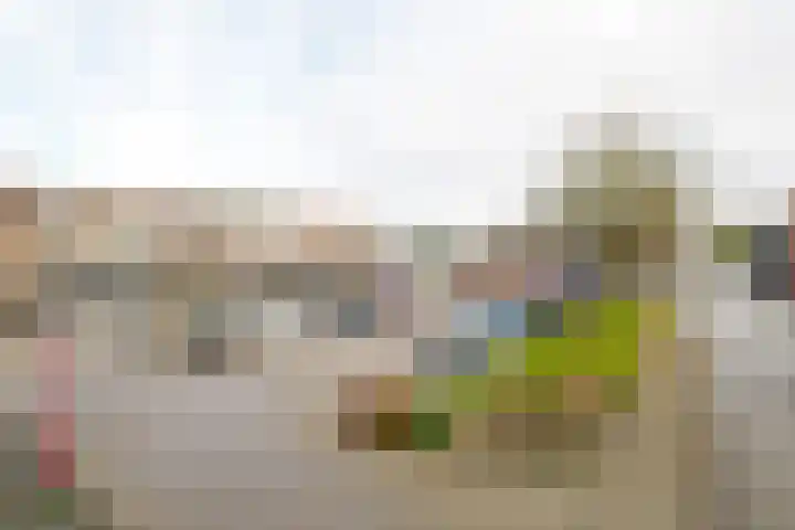 Boegstaete 16 Vroomshoop thumbnail 38