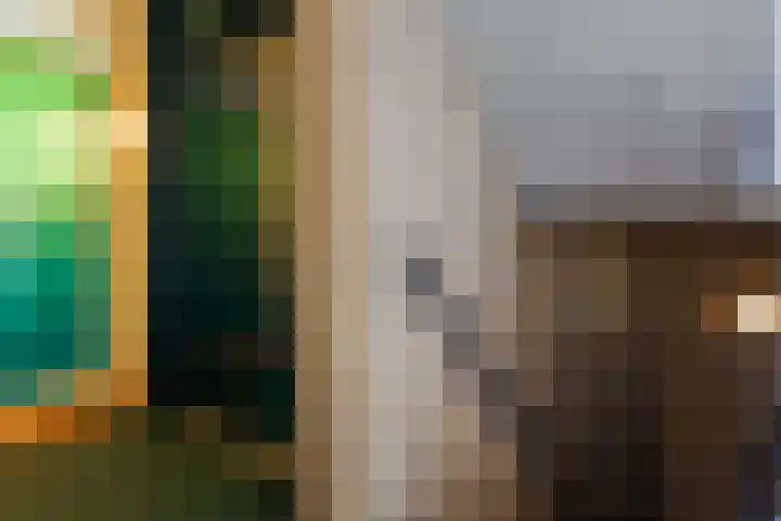 Boegstaete 16 Vroomshoop thumbnail 9