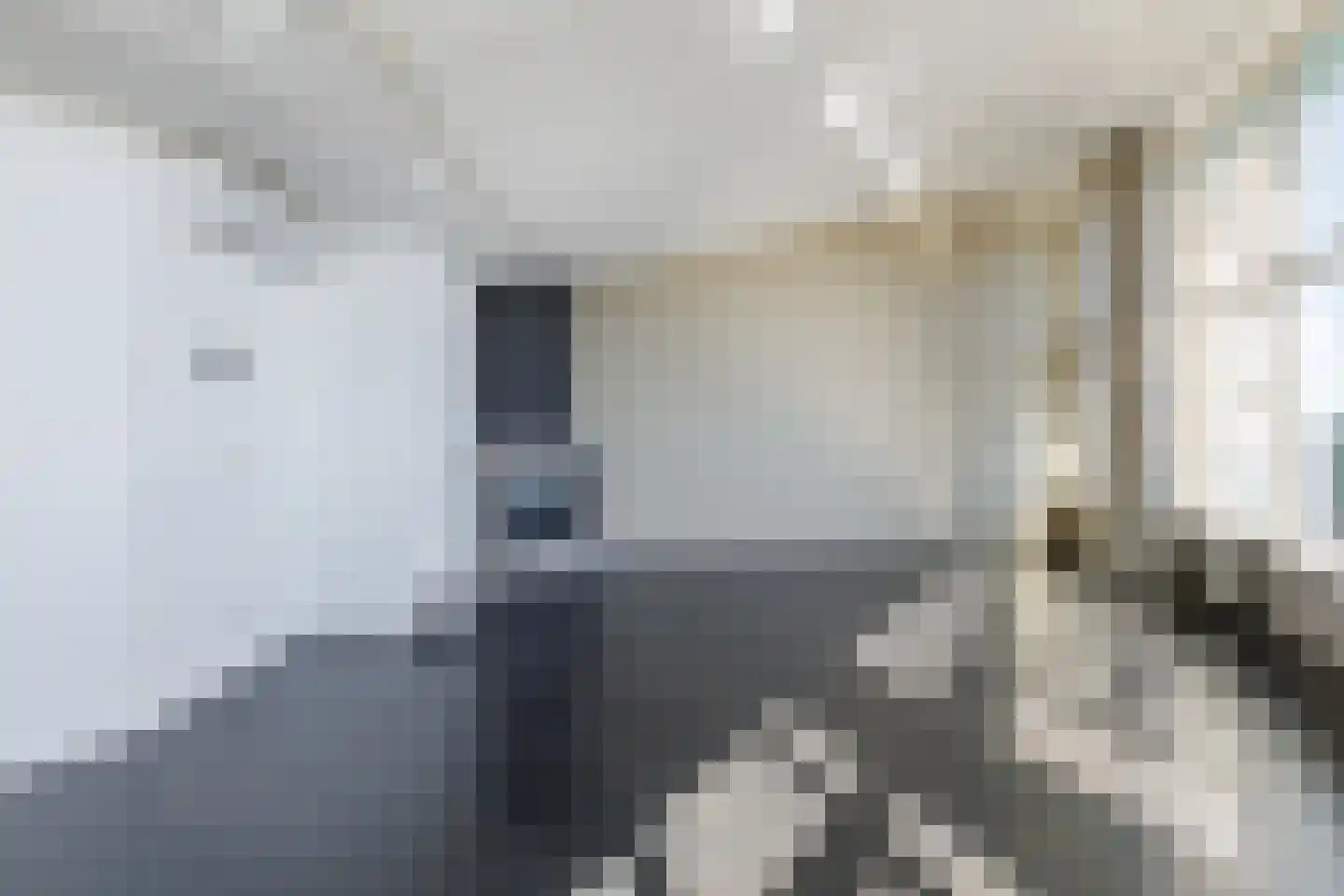 Boegstaete 6 Vroomshoop thumbnail 14