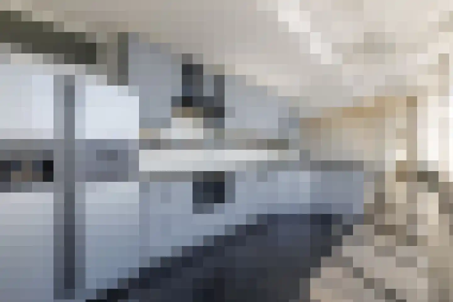 Boegstaete 6 Vroomshoop thumbnail 19
