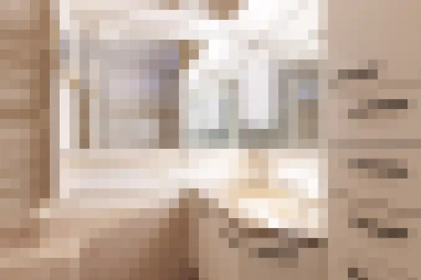 Boegstaete 6 Vroomshoop thumbnail 28
