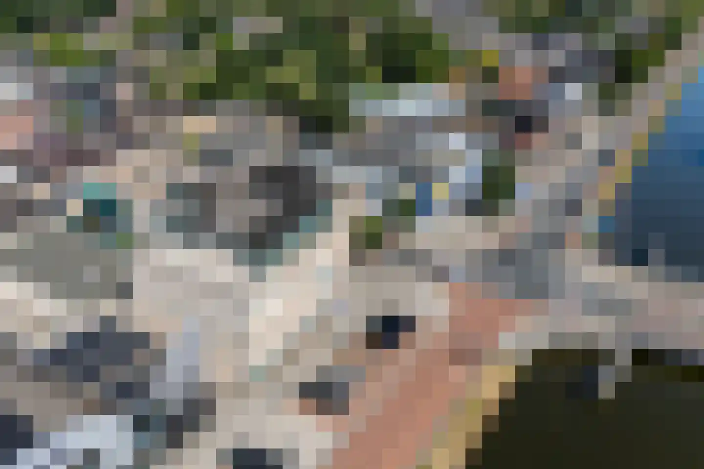 Boegstaete 6 Vroomshoop thumbnail 44