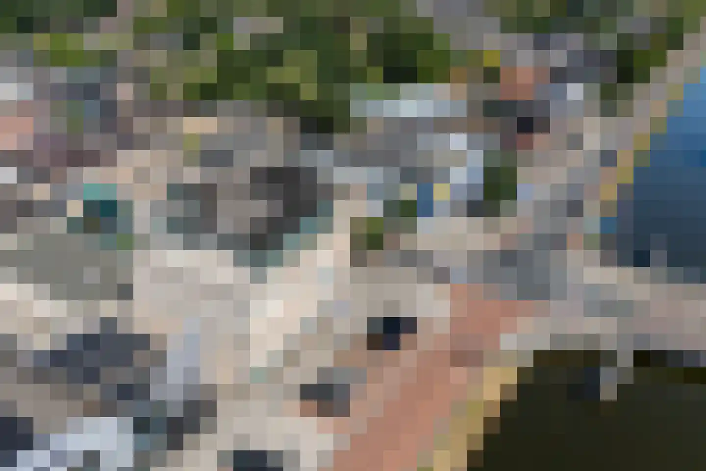 Boegstaete 6 Vroomshoop thumbnail 44