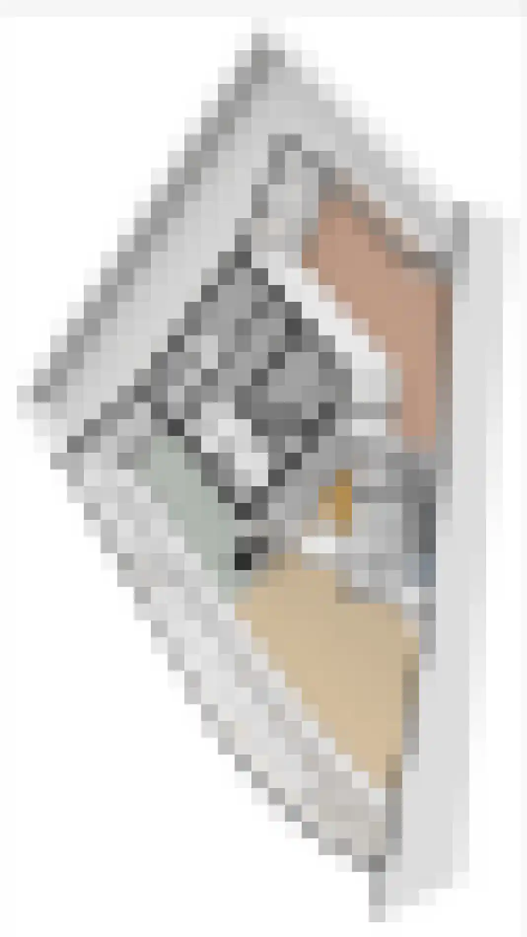 Boegstaete 6 Vroomshoop thumbnail 48
