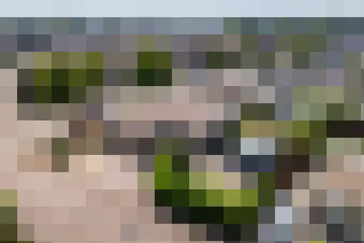 Boegstraat 24 Maasbracht thumbnail 38