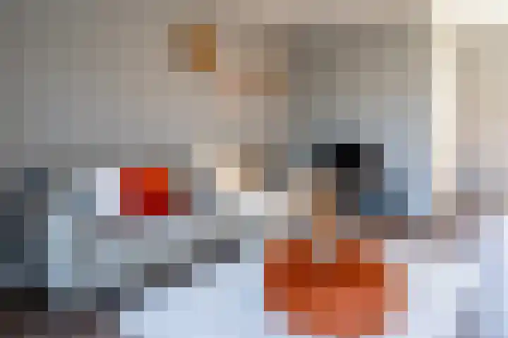 Boegstraat 24 Maasbracht thumbnail 7