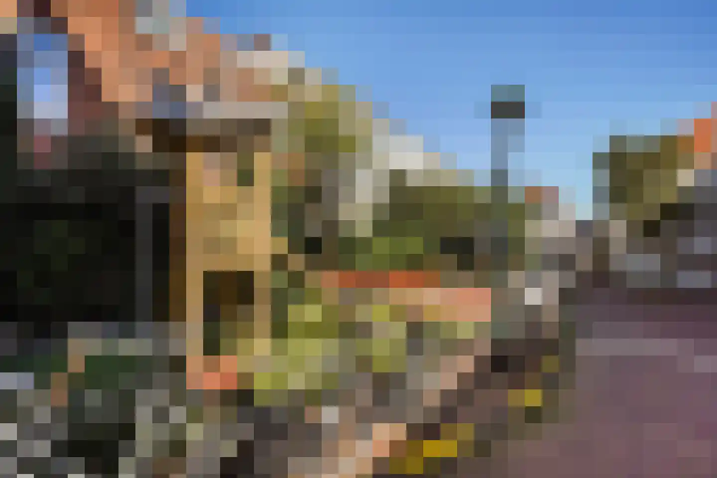 Boegstraat 34 Den Haag thumbnail 8