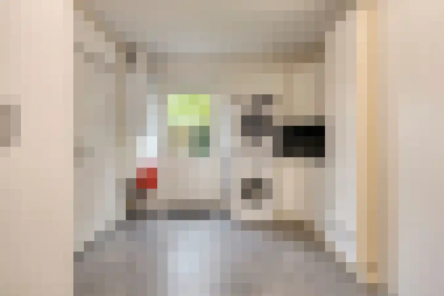 Boegstraat 61 Maasbracht thumbnail 22