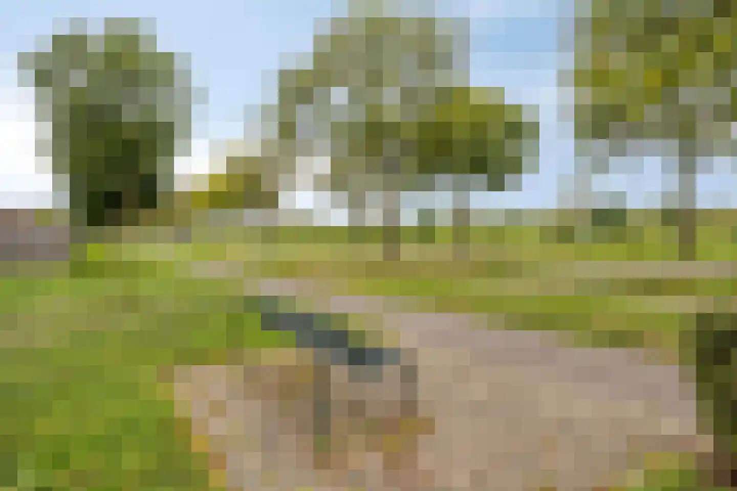 Boegstraat 61 Maasbracht thumbnail 56