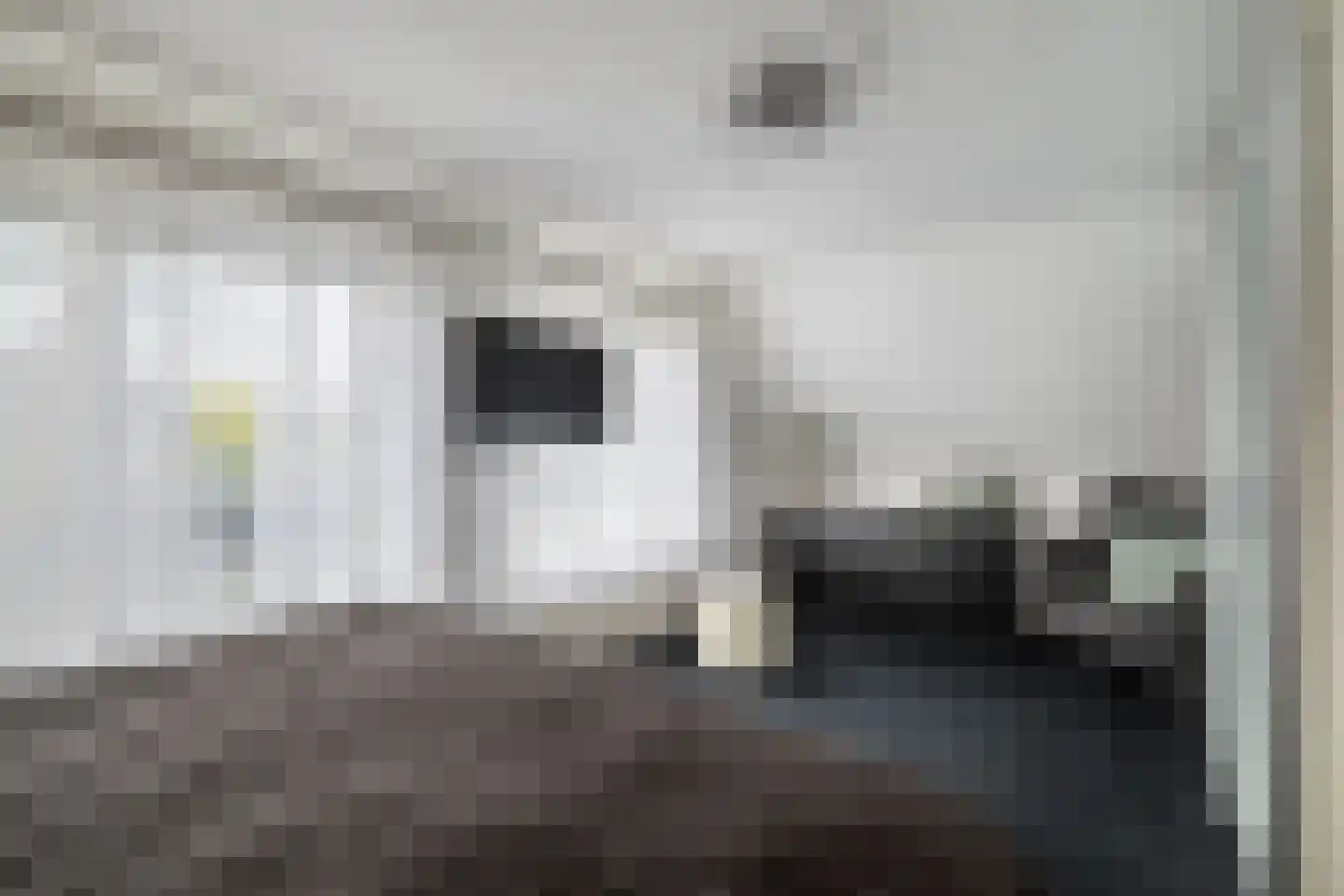 Boegstraat 73 Maasbracht thumbnail 18