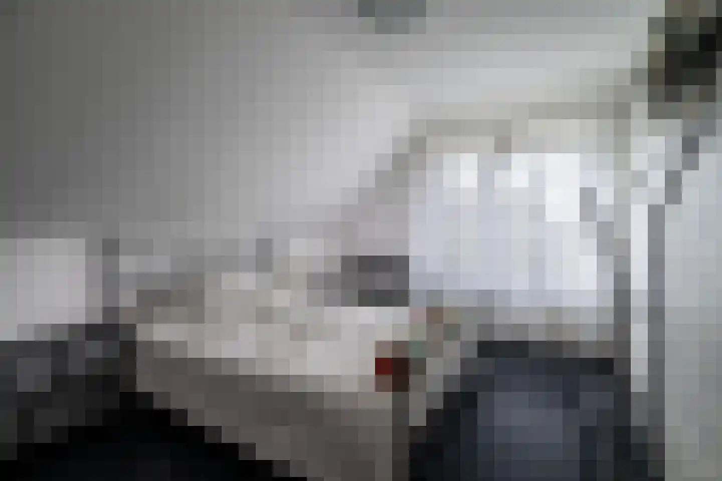 Boegstraat 73 Maasbracht thumbnail 20