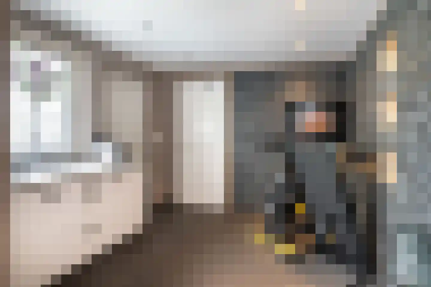 Boegstraat 73 Maasbracht thumbnail 26