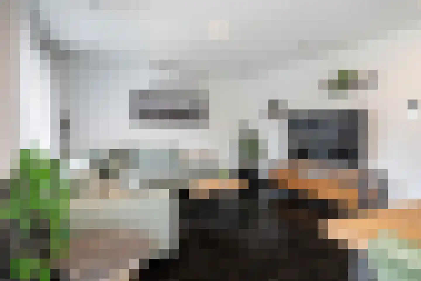 Boegstraat 73 Maasbracht thumbnail 6