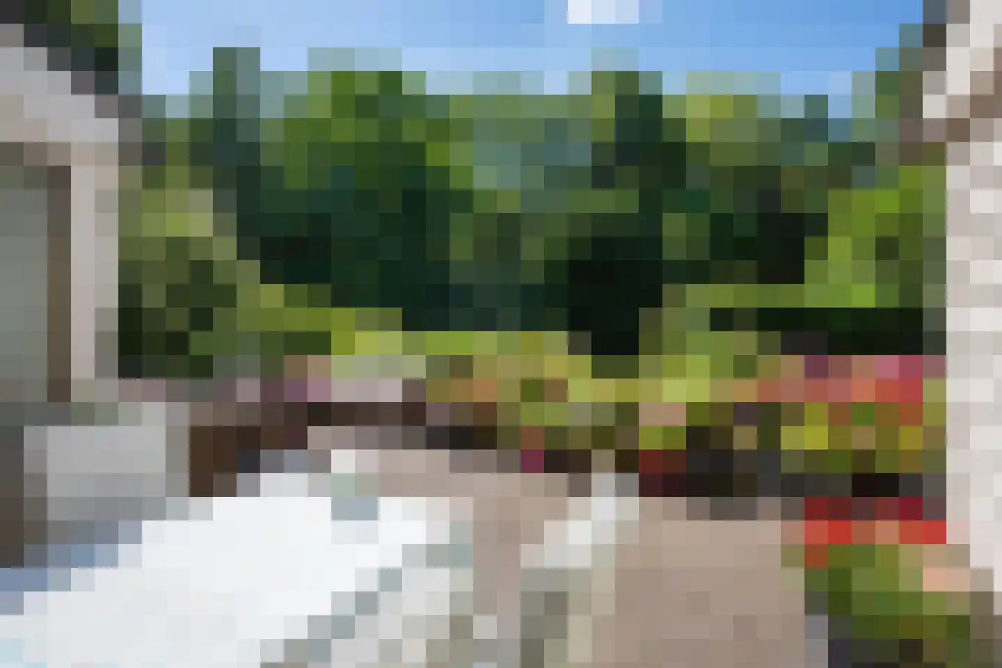 Boeier 01 01 6 Lelystad thumbnail 82