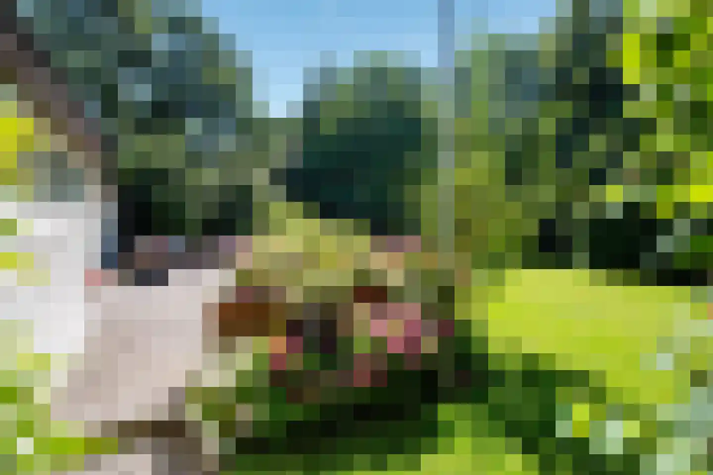 Boeier 01 6 Lelystad thumbnail 81