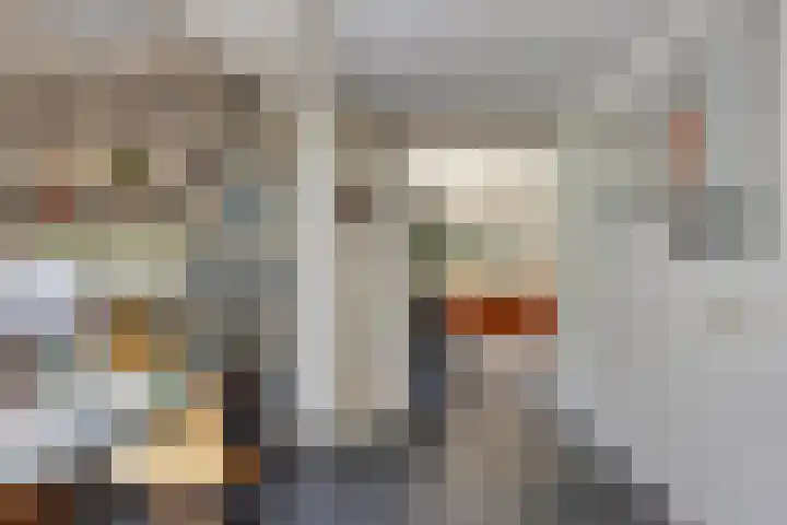 Boeier 01 8 Lelystad thumbnail 20