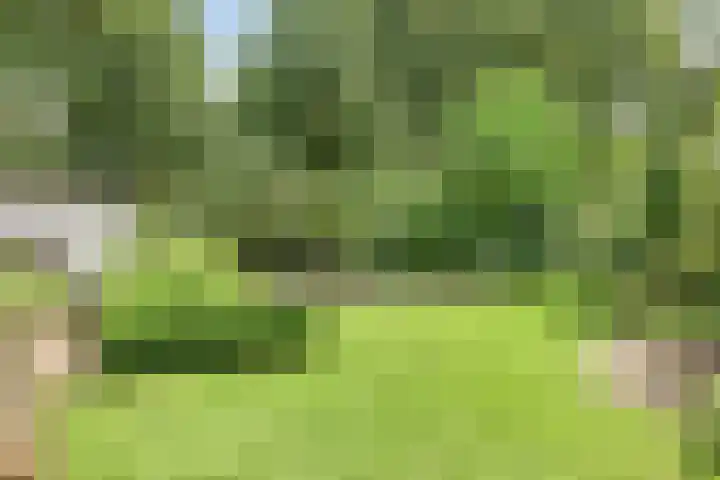 Boeier 01 8 Lelystad thumbnail 64