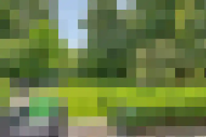 Boeier 01 8 Lelystad thumbnail 72