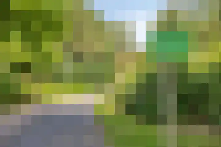 Boeier 01 8 Lelystad thumbnail 75