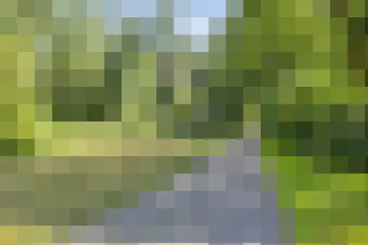 Boeier 01 8 Lelystad thumbnail 76