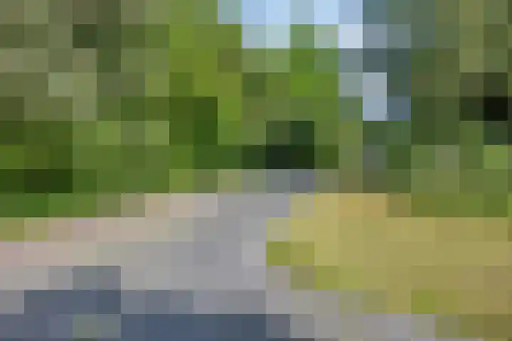 Boeier 01 8 Lelystad thumbnail 77