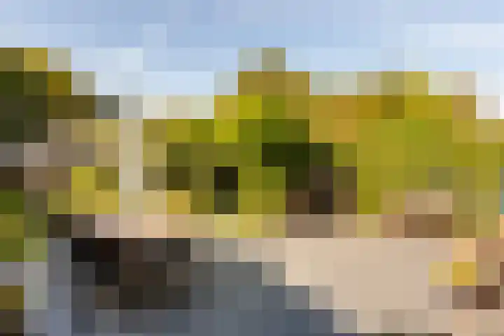 Boeier 02 02 45 Lelystad thumbnail 33