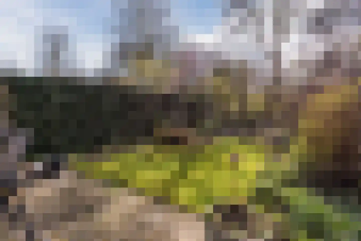 Boeier 02 02 7 Lelystad thumbnail 45