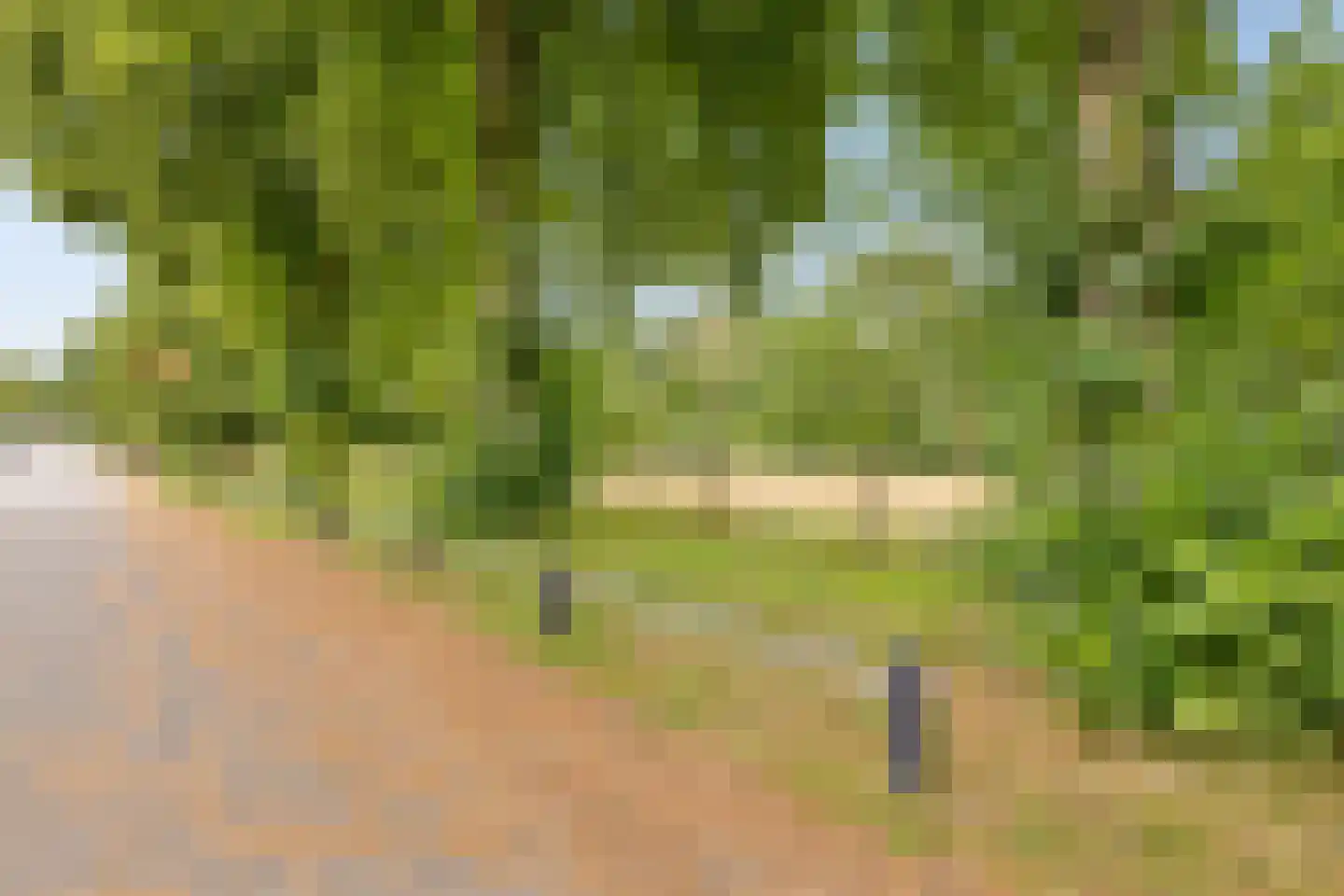 Boeier 02 79 Lelystad thumbnail 49
